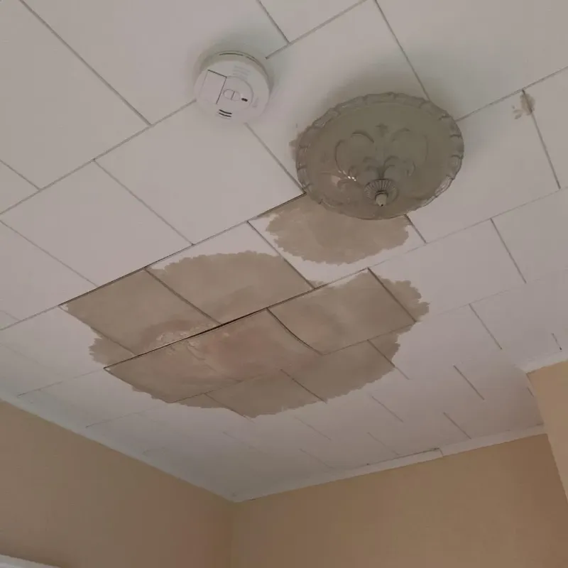 Ceiling Water Damage Repair in Gooding, ID
