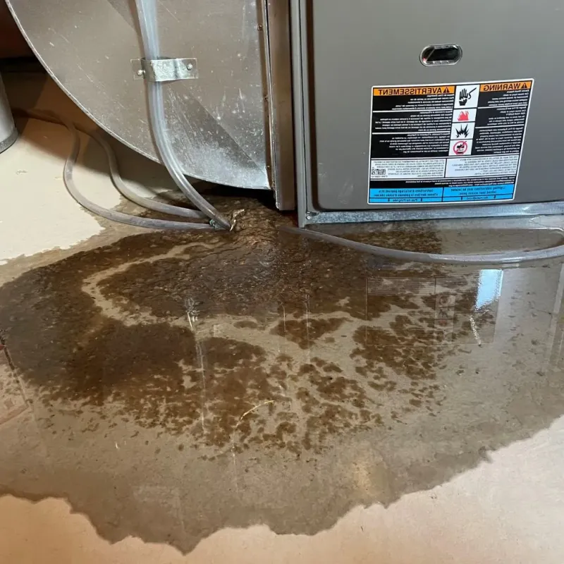 Pipe Burst and Leak Restoration in Gooding, ID